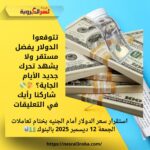 استقرار سعر الدولار أمام الجنيه بختام تعاملات الجمعة 12 ديسمبر 2025 بالبنوك 💵📊