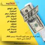 💵 سعر الدولار في مصر اليوم الأحد 14 ديسمبر 2025.. استقرار نسبي بالبنوك