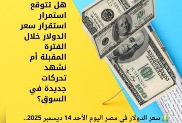💵 سعر الدولار في مصر اليوم الأحد 14 ديسمبر 2025.. استقرار نسبي بالبنوك