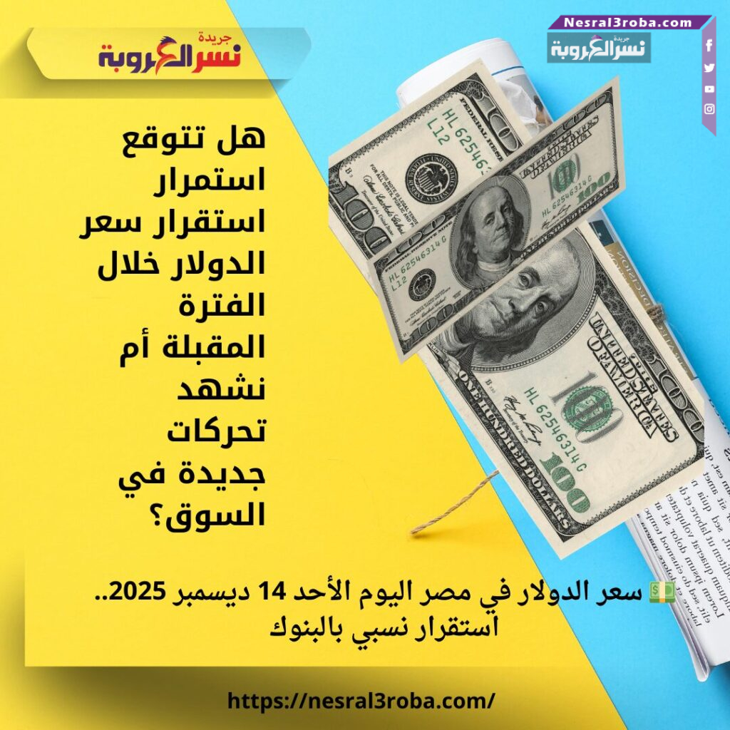 💵 سعر الدولار في مصر اليوم الأحد 14 ديسمبر 2025.. استقرار نسبي بالبنوك 25 💵 سعر الدولار في مصر اليوم الأحد 14 ديسمبر 2025.. استقرار نسبي بالبنوك