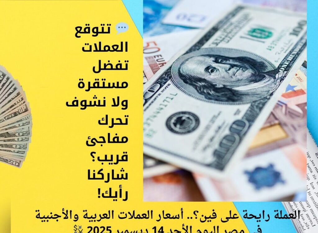 العملة رايحة على فين؟.. أسعار العملات العربية والأجنبية في مصر اليوم الأحد 14 ديسمبر 2025 💱