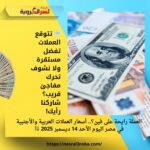 العملة رايحة على فين؟.. أسعار العملات العربية والأجنبية في مصر اليوم الأحد 14 ديسمبر 2025 💱