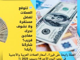 العملة رايحة على فين؟.. أسعار العملات العربية والأجنبية في مصر اليوم الأحد 14 ديسمبر 2025 💱 34 العملة رايحة على فين؟.. أسعار العملات العربية والأجنبية في مصر اليوم الأحد 14 ديسمبر 2025 💱