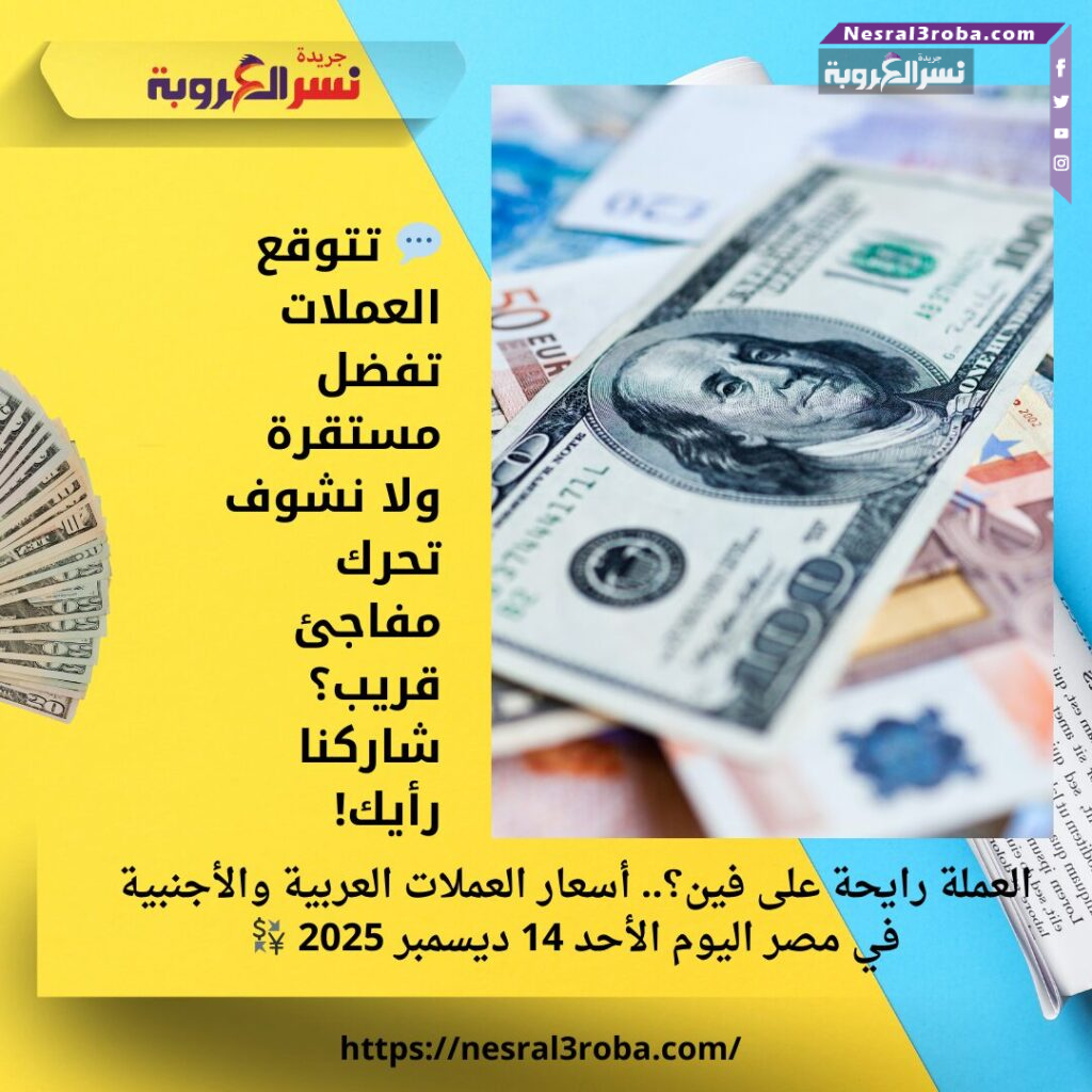 العملة رايحة على فين؟.. أسعار العملات العربية والأجنبية في مصر اليوم الأحد 14 ديسمبر 2025 💱 25 العملة رايحة على فين؟.. أسعار العملات العربية والأجنبية في مصر اليوم الأحد 14 ديسمبر 2025 💱