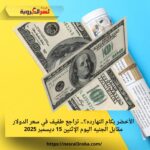 الأخضر بكام النهارده؟.. تراجع طفيف في سعر الدولار مقابل الجنيه اليوم الإثنين 15 ديسمبر 2025