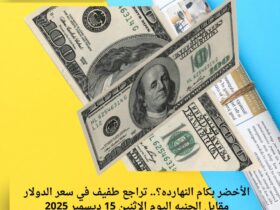 الأخضر بكام النهارده؟.. تراجع طفيف في سعر الدولار مقابل الجنيه اليوم الإثنين 15 ديسمبر 2025 31 الأخضر بكام النهارده؟.. تراجع طفيف في سعر الدولار مقابل الجنيه اليوم الإثنين 15 ديسمبر 2025