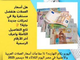 اليورو بكام النهارده؟ 💱 مفاجآت أسعار العملات العربية والأجنبية في مصر اليوم الثلاثاء 16 ديسمبر 2025