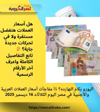 اليورو بكام النهارده؟ 💱 مفاجآت أسعار العملات العربية والأجنبية في مصر اليوم الثلاثاء 16 ديسمبر 2025