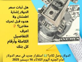 الدولار وصل لكام؟ 💵 استقرار جديد في سعر الدولار أمام الجنيه اليوم الثلاثاء 16 ديسمبر 2025