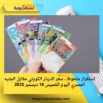 استقرار ملحوظ.. سعر الدينار الكويتي مقابل الجنيه المصري اليوم الخميس 18 ديسمبر 2025