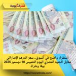 استقرار واضح في السوق.. سعر الدرهم الإماراتي مقابل الجنيه المصري اليوم الخميس 18 ديسمبر 2025 بيعًا وشراءً