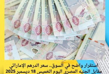 استقرار واضح في السوق.. سعر الدرهم الإماراتي مقابل الجنيه المصري اليوم الخميس 18 ديسمبر 2025 بيعًا وشراءً