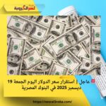 🚨 عاجل | استقرار سعر الدولار اليوم الجمعة 19 ديسمبر 2025 في البنوك المصرية