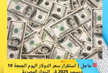 🚨 عاجل | استقرار سعر الدولار اليوم الجمعة 19 ديسمبر 2025 في البنوك المصرية