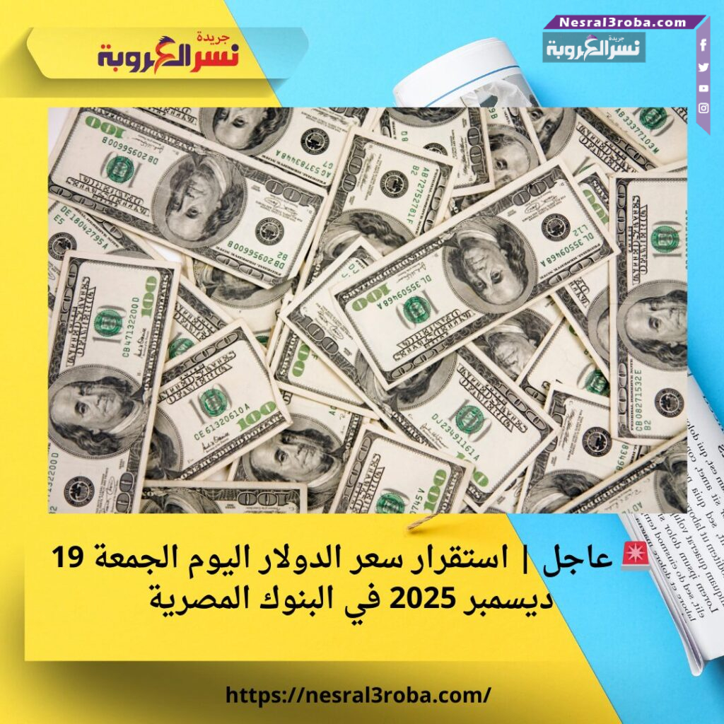 🚨 عاجل | استقرار سعر الدولار اليوم الجمعة 19 ديسمبر 2025 في البنوك المصرية