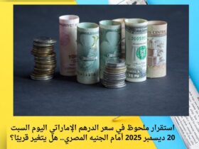 استقرار ملحوظ في سعر الدرهم الإماراتي اليوم السبت 20 ديسمبر 2025 أمام الجنيه المصري.. هل يتغير قريبًا؟