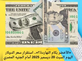 «الأخضر بكام النهاردة؟».. استقرار سعر الدولار اليوم السبت 20 ديسمبر 2025 أمام الجنيه المصري