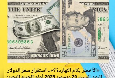 «الأخضر بكام النهاردة؟».. استقرار سعر الدولار اليوم السبت 20 ديسمبر 2025 أمام الجنيه المصري