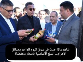 شاهد ماذا حدث في سوق اليوم الواحد بحدائق الأهرام… السلع الأساسية بأسعار مخفضة!