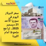 سعر الدولار اليوم في سوريا الأحد 21 ديسمبر 2025.. تراجع ملحوظ أمام الليرة