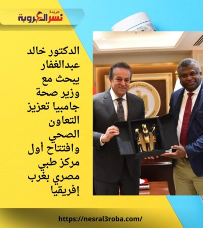 الدكتور خالد عبدالغفار يبحث مع وزير صحة جامبيا تعزيز التعاون الصحي وافتتاح أول مركز طبي مصري بغرب إفريقيا