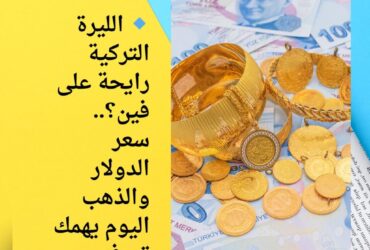 🔹 الليرة التركية رايحة على فين؟.. سعر الدولار والذهب اليوم يهمك تعرفه