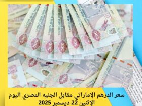 سعر الدرهم الإماراتي مقابل الجنيه المصري اليوم الإثنين 22 ديسمبر 2025