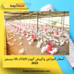 الفراخ البيضاء بكام النهارده؟.. أسعار الدواجن والبيض اليوم الثلاثاء 23 ديسمبر 2025