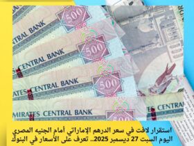 استقرار لافت في سعر الدرهم الإماراتي أمام الجنيه المصري اليوم السبت 27 ديسمبر 2025.. تعرف على الأسعار في البنوك 30 استقرار لافت في سعر الدرهم الإماراتي أمام الجنيه المصري اليوم السبت 27 ديسمبر 2025.. تعرف على الأسعار في البنوك