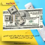 الأخضر بكام؟.. استقرار سعر الدولار مقابل الجنيه المصري اليوم السبت 27 ديسمبر 2025 بالبنوك