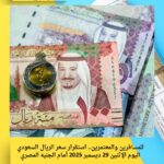 للمسافرين والمعتمرين.. استقرار سعر الريال السعودي اليوم الإثنين 29 ديسمبر 2025 أمام الجنيه المصري