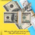 استقرار سعر الدولار اليوم الإثنين 29 ديسمبر 2025 في بنك مصر والبنك الأهلي وCIB