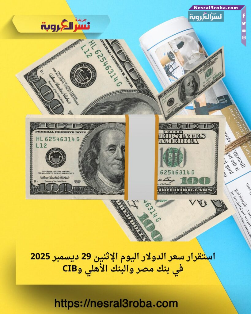 استقرار سعر الدولار اليوم الإثنين 29 ديسمبر 2025 في بنك مصر والبنك الأهلي وCIB