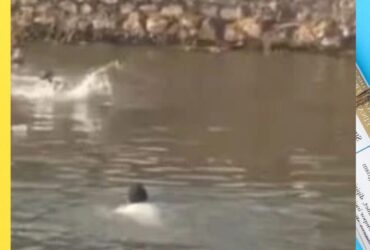 مأساة على طريق سقارة.. سقوط ميكروباص في ترعة المريوطية يودي بحياة 3 أشخاص بينهم بطل حاول الإنقاذ