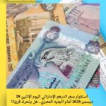 استقرار سعر الدرهم الإماراتي اليوم الإثنين 29 ديسمبر 2025 أمام الجنيه المصري.. هل يتحرك قريبًا؟