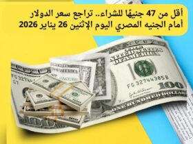 أقل من 47 جنيهًا للشراء.. تراجع سعر الدولار أمام الجنيه المصري اليوم الإثنين 26 يناير 2026