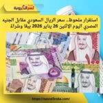 استقرار الريال السعودي اليوم في مصر.. أسعار البيع والشراء بالبنوك الإثنين 26 يناير 2026
