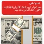 سعر الدولار اليوم الثلاثاء 20 يناير 2026 في البنك الأهلي والمركزي وبنوك مصر