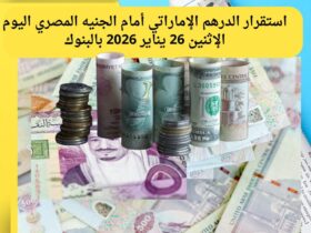 استقرار الدرهم الإماراتي اليوم في مصر.. أسعار البيع والشراء بالبنوك الإثنين 26 يناير 2026