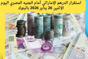 استقرار الدرهم الإماراتي اليوم في مصر.. أسعار البيع والشراء بالبنوك الإثنين 26 يناير 2026