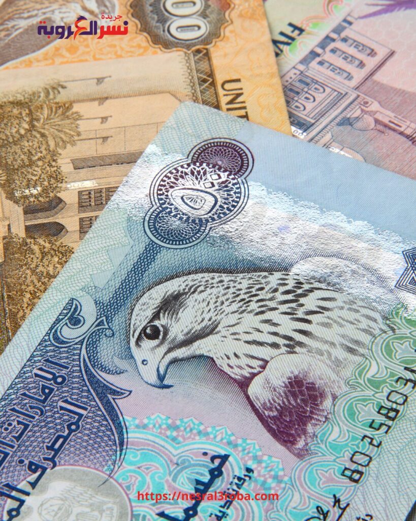 استقرار الدرهم الإماراتي أمام الجنيه المصري اليوم الإثنين 26 يناير 2026 بالبنوك 28 استقرار الدرهم الإماراتي أمام الجنيه المصري اليوم الإثنين 26 يناير