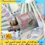سعر الدرهم الإماراتي مقابل الجنيه المصري اليوم الإثنين 12 يناير 2026.. بكام في البنك الأهلي؟