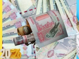 سعر الدرهم الإماراتي مقابل الجنيه المصري اليوم الإثنين 12 يناير 2026.. بكام في البنك الأهلي؟