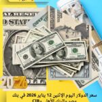 سعر الدولار اليوم الإثنين 12 يناير 2026 في بنك مصر والبنك الأهلي وCIB
