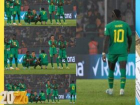 فرديناند كولي: مواجهة مصر والسنغال ثأرية.. والأخطاء أمام صلاح ومرموش غير مقبولة