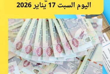 سعر الدرهم الإماراتي مقابل الجنيه اليوم السبت 17 يناير 2026