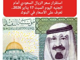 استقرار سعر الريال السعودي أمام الجنيه اليوم السبت 17 يناير 2026.. تعرف على الأسعار في البنوك