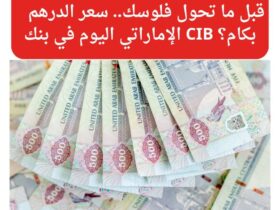 قبل ما تحول فلوسك.. سعر الدرهم الإماراتي اليوم في بنك CIB بكام؟