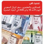 للمسافرين والمعتمرين.. سعر الريال السعودي اليوم الأحد 18 يناير 2026 في البنوك المصرية
