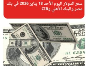 سعر الدولار اليوم الأحد 18 يناير 2026 في بنك مصر والبنك الأهلي وCIB
